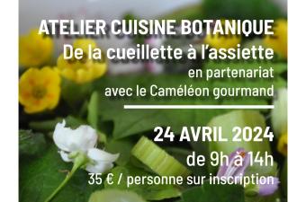 Atelier "cuisine botanique" au CBN de Bailleul