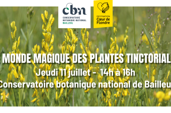 Sortie nature : "le monde magique des plantes tinctoriales" au CBN de Bailleul