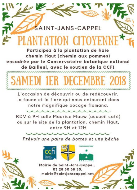 Festival de l'Arbre CBNBL