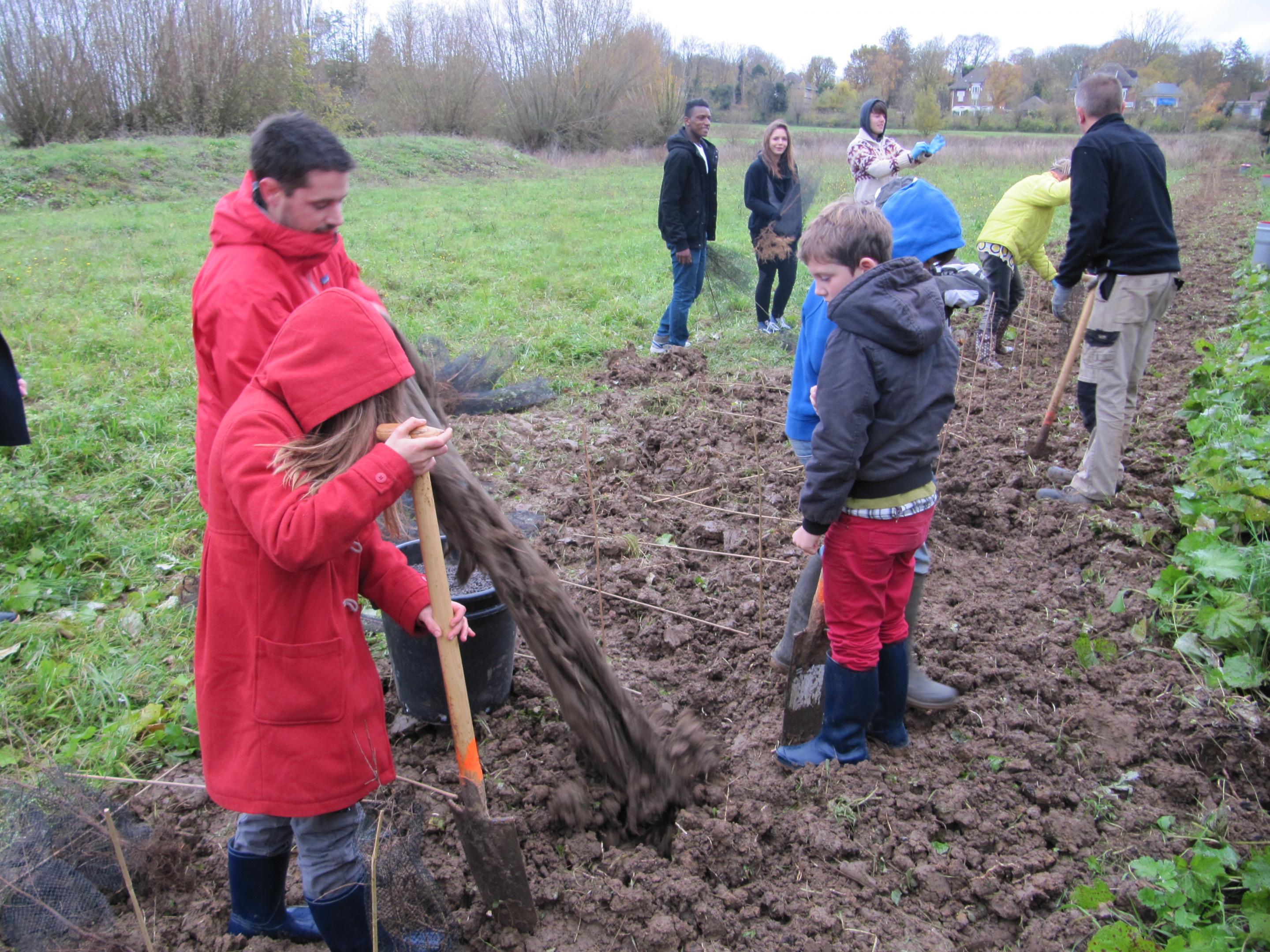 Festival de l'Arbre CBNBL