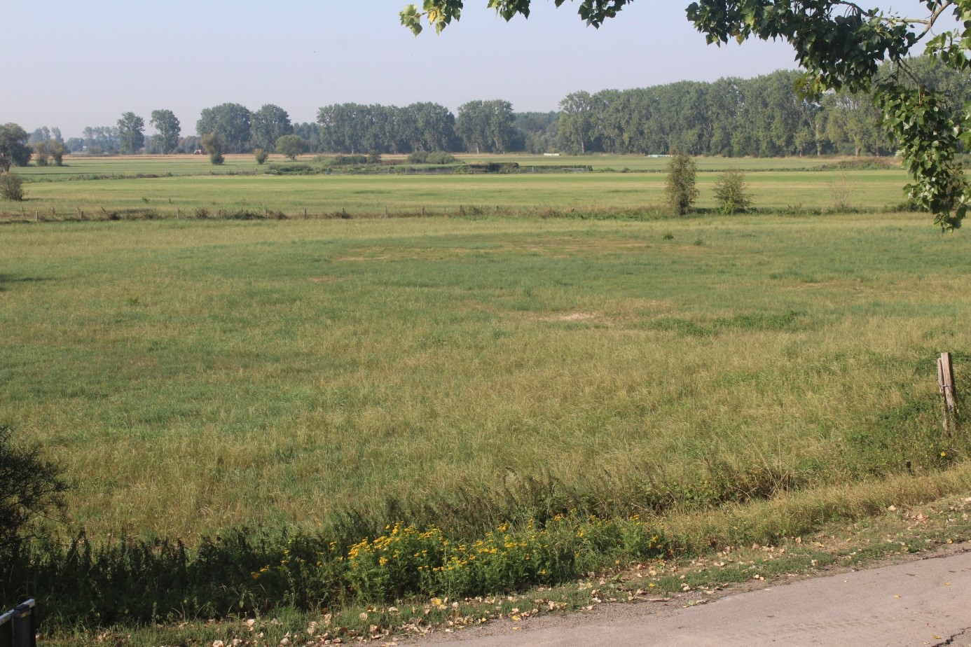 Territoire MEL