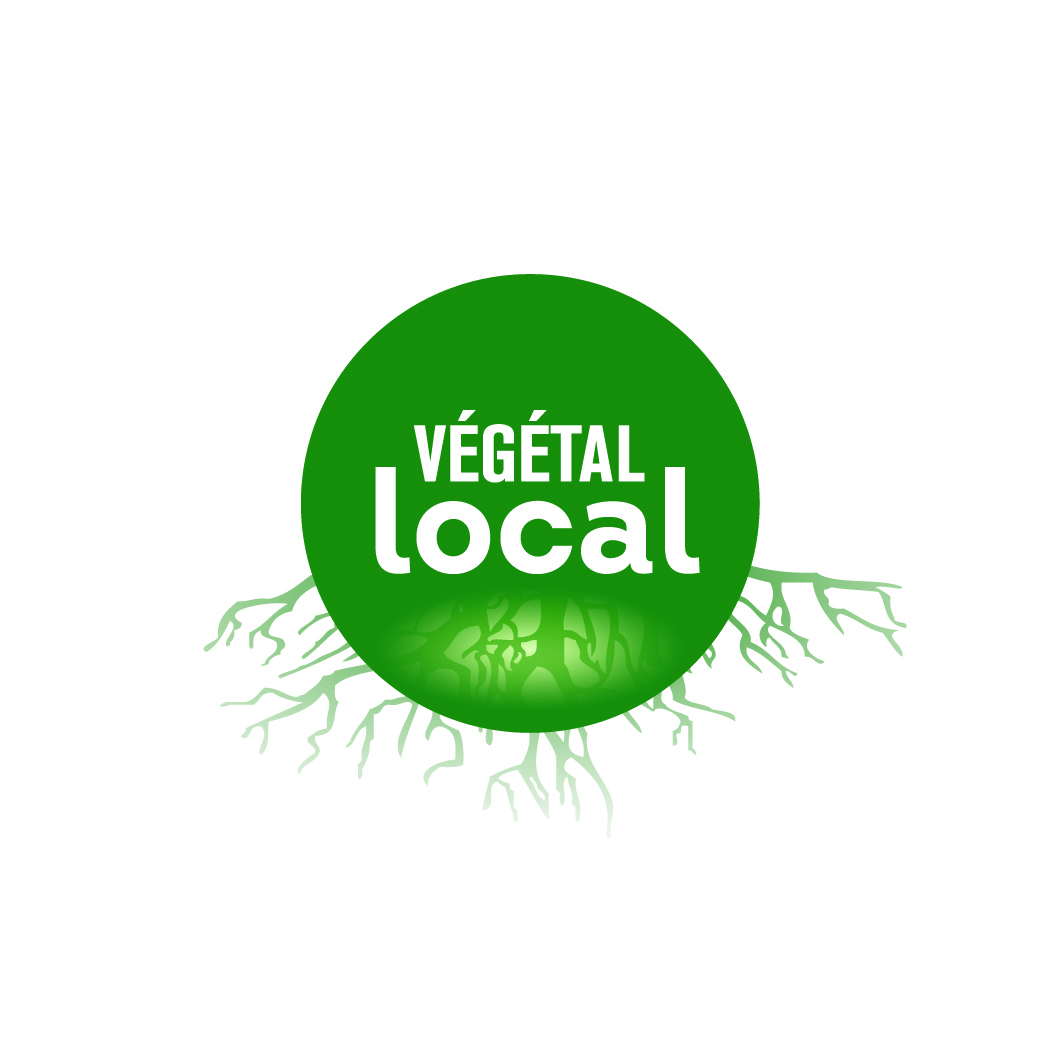 Végétal local