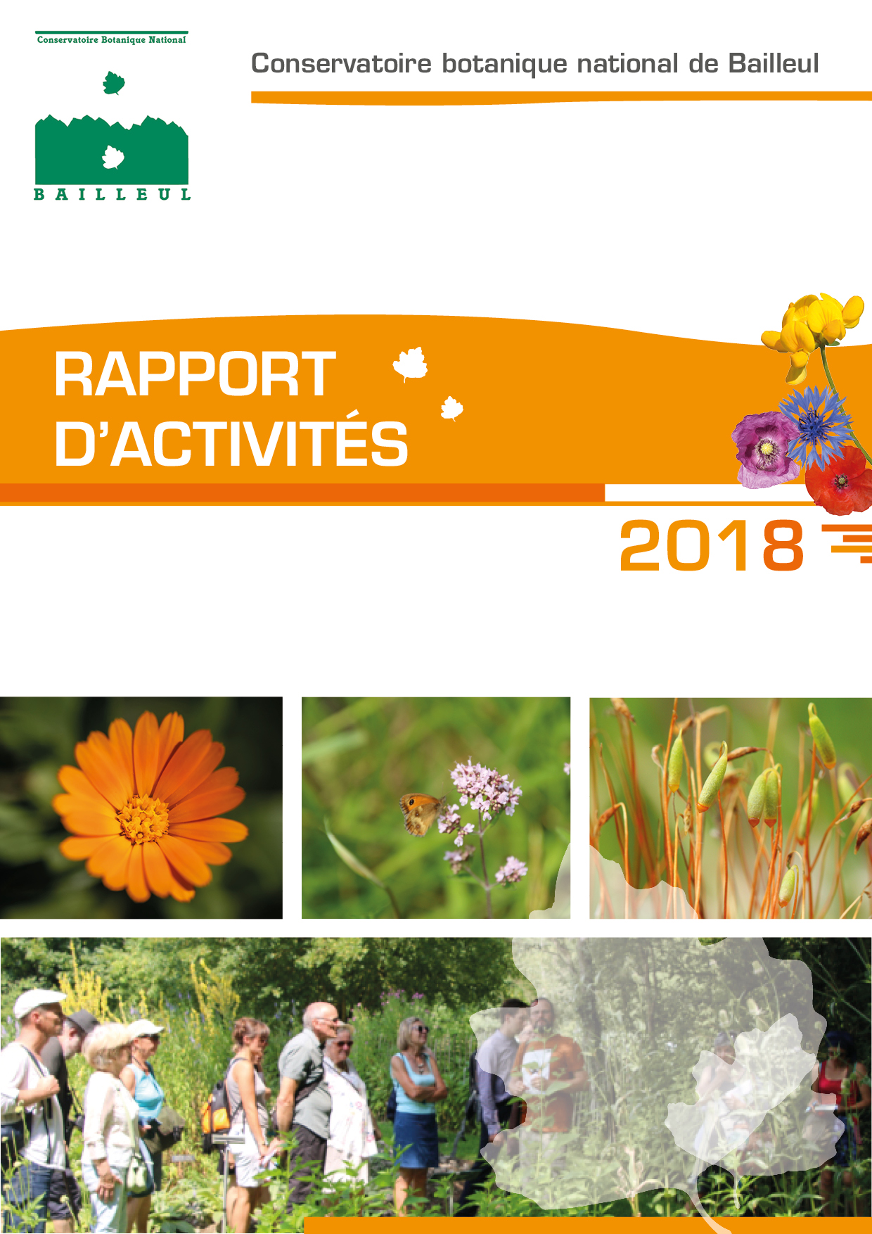 Rapport 2018