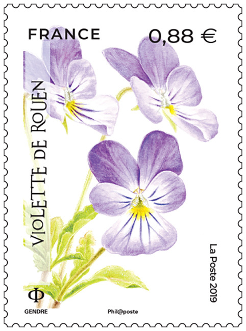Violette de Rouen timbre