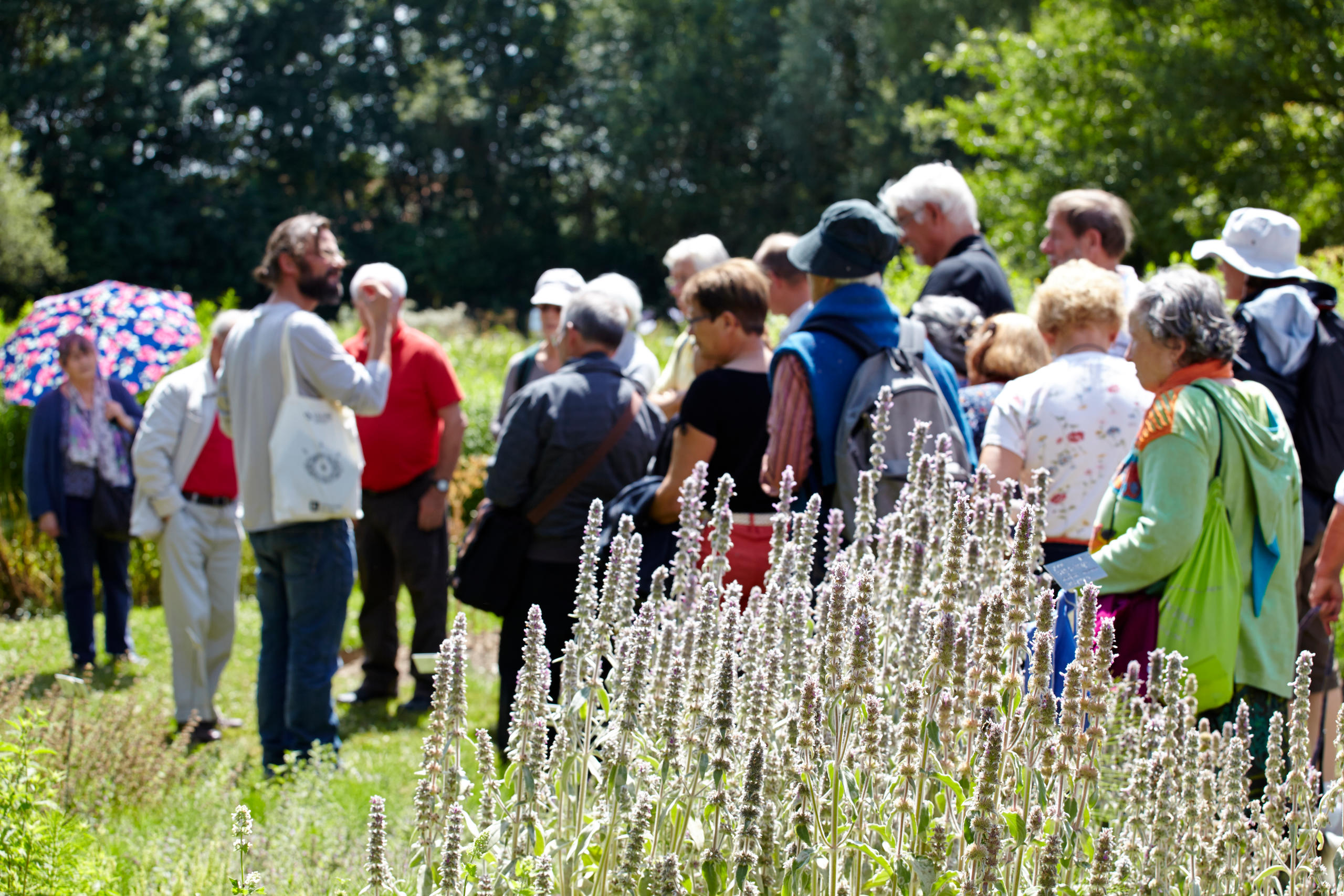 Éducation à l'environnement CBNBL