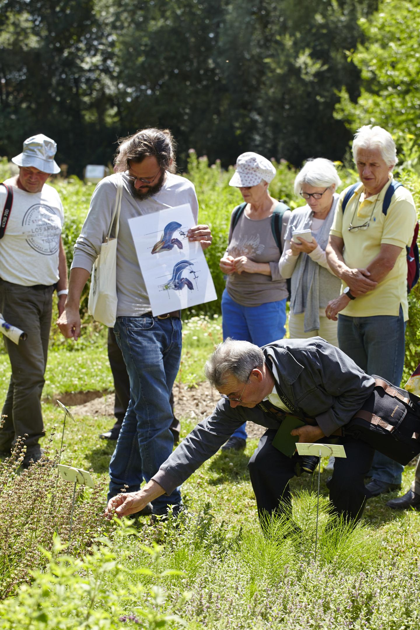 formation initiation botanique