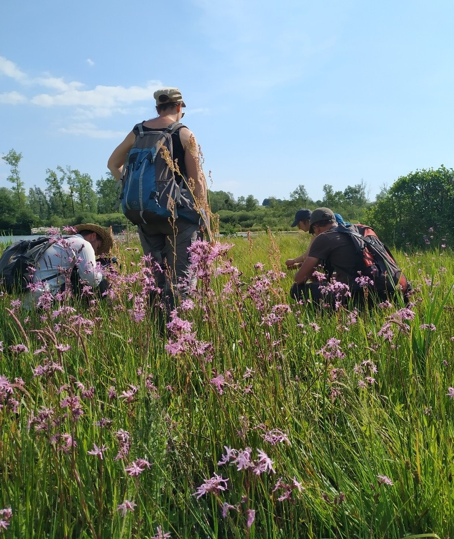 Réalisation d'un relevé phytosociologique sur le marais de Douriez (62) ; © G. Villejoubert, le 26 05 2020