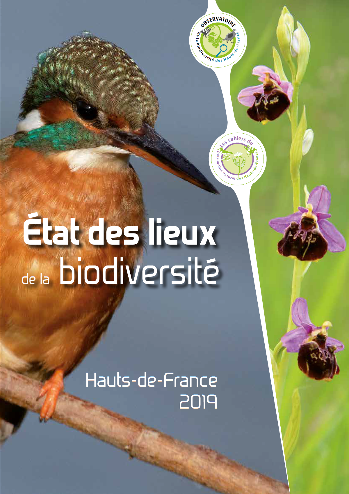 État des lieux de la biodiversité, Hauts-de-France 2019.