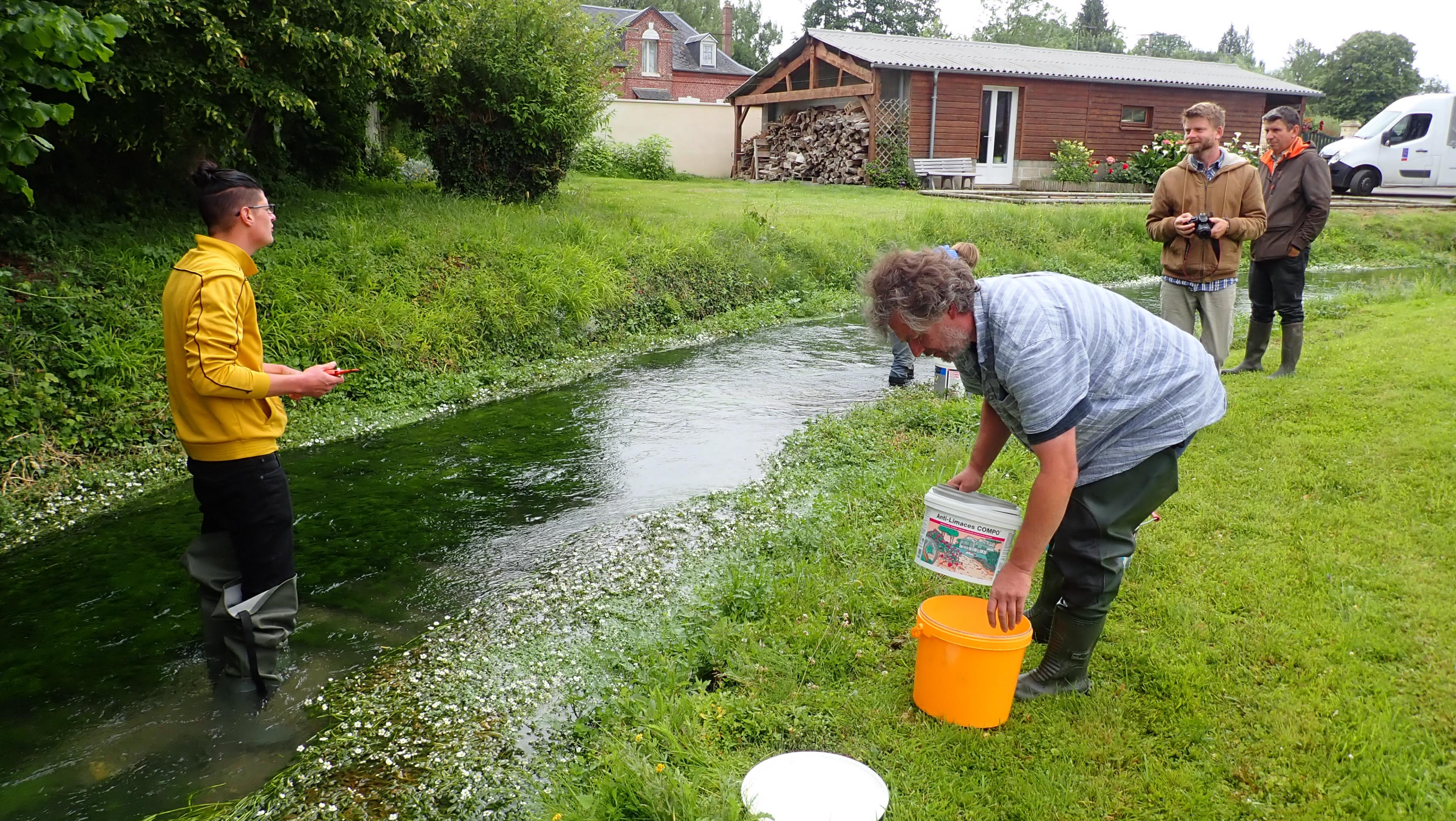 Prélèvement de boutures et fruits de Renoncules des eaux calcaires par les agents des serres de production du Jardin des plantes de Rouen, le 30 juin 2020 à Grandcourt (76) (E. Cléré).