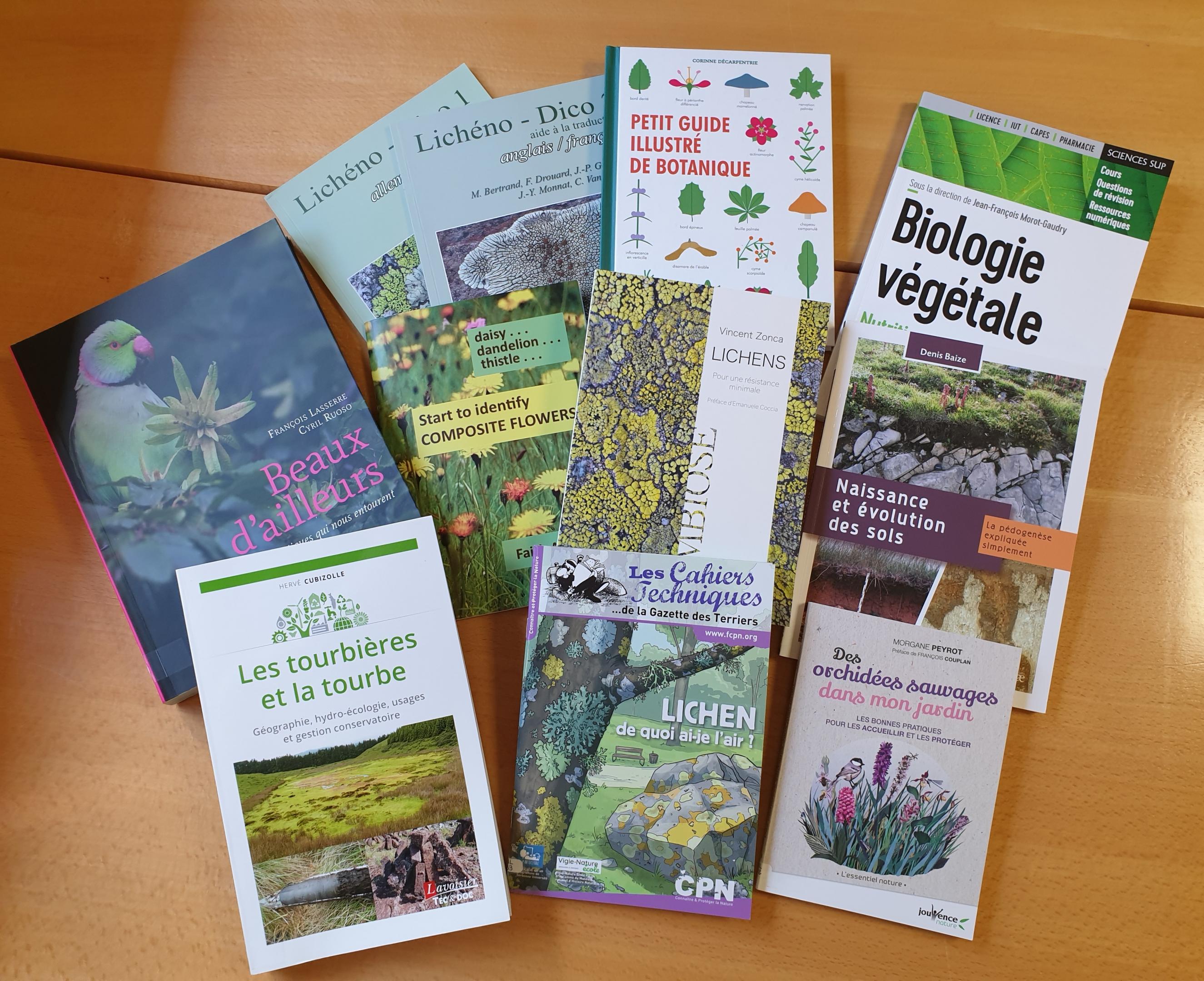 Le chemin des herbes - Du Midi à l'Atlantique : identifier et utiliser 80  plantes sauvages médicinal