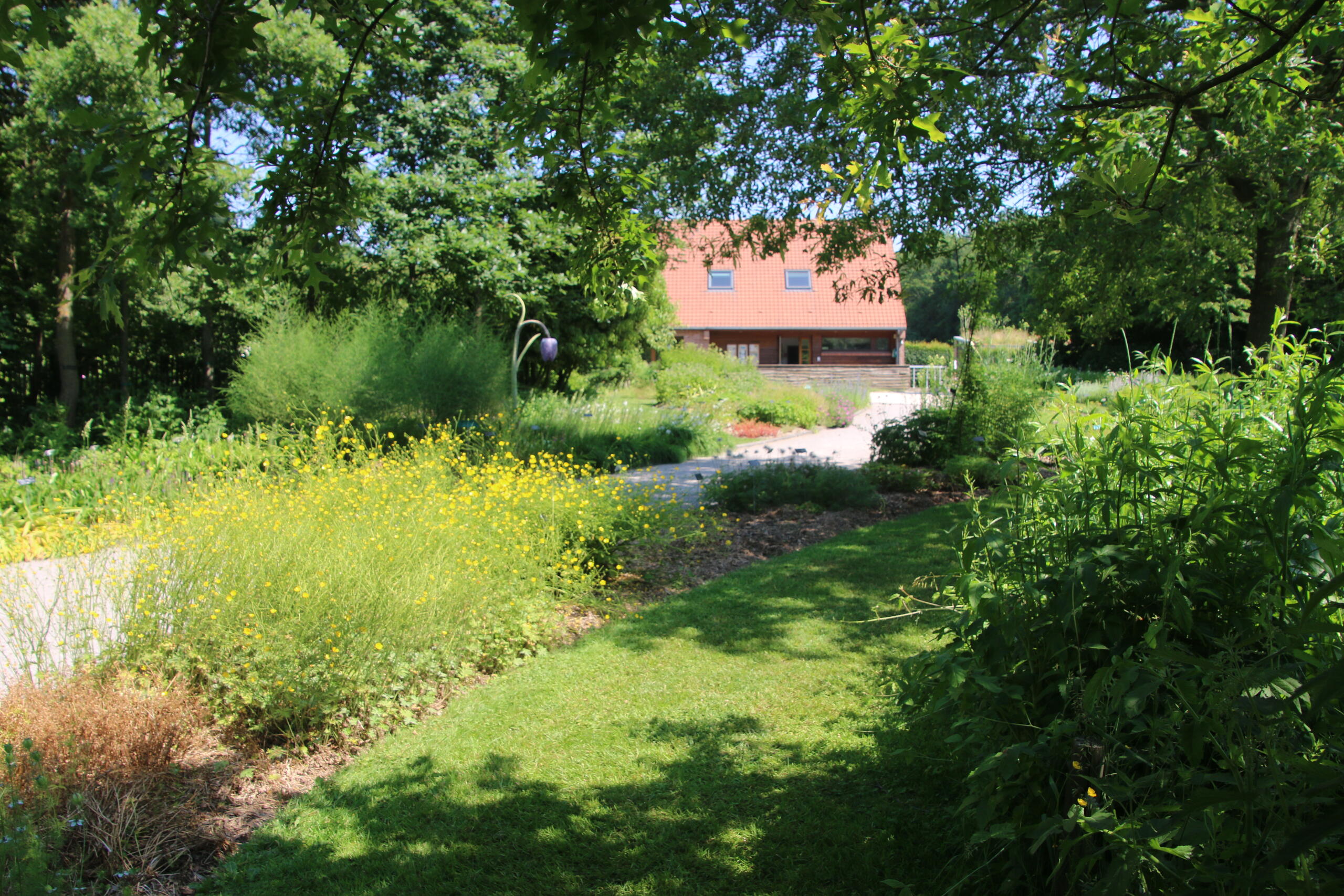 Classe Jardin des plantes sauvages Bailleul