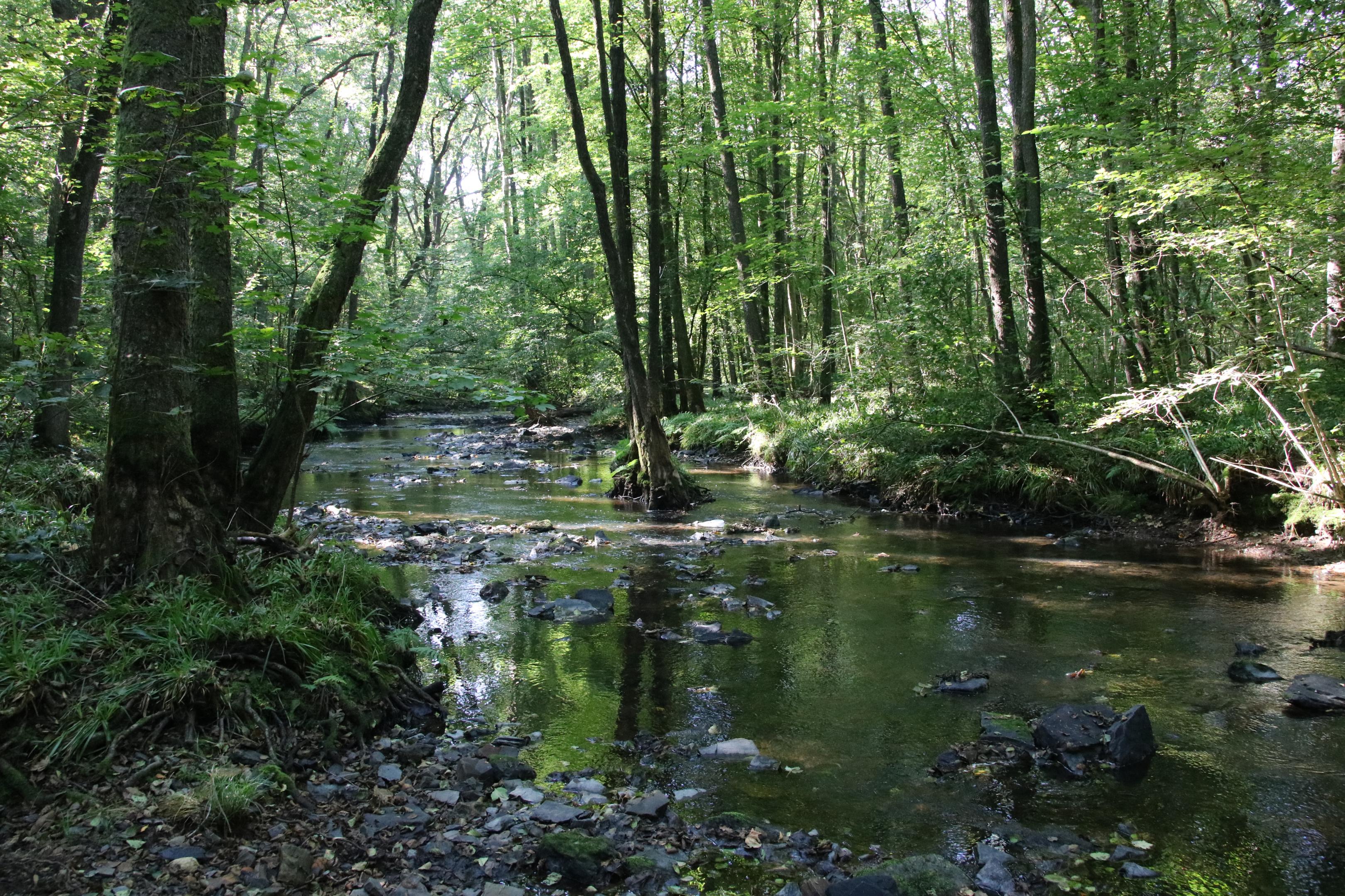 Artoise - JC Hauguel