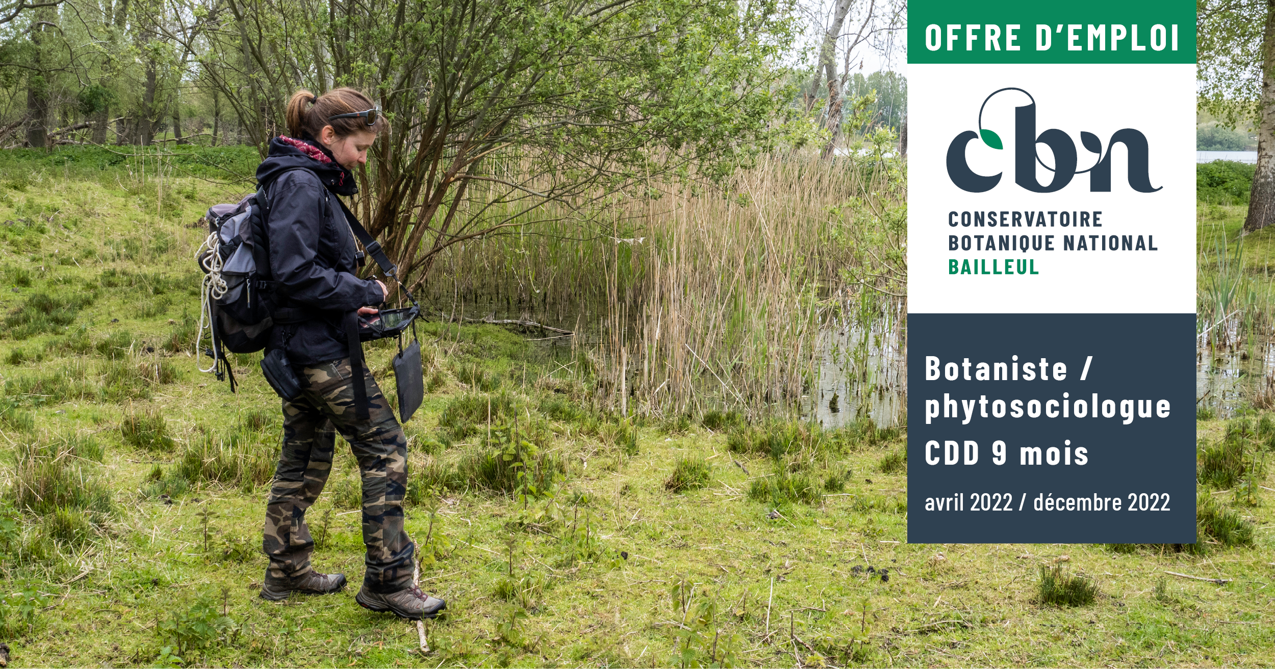 Le CBN de Bailleul recherche un.e botaniste / phytosociologue en CDD
