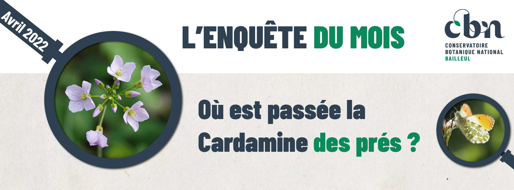 « L’enquête du mois : Où est passée la Cardamine des prés »