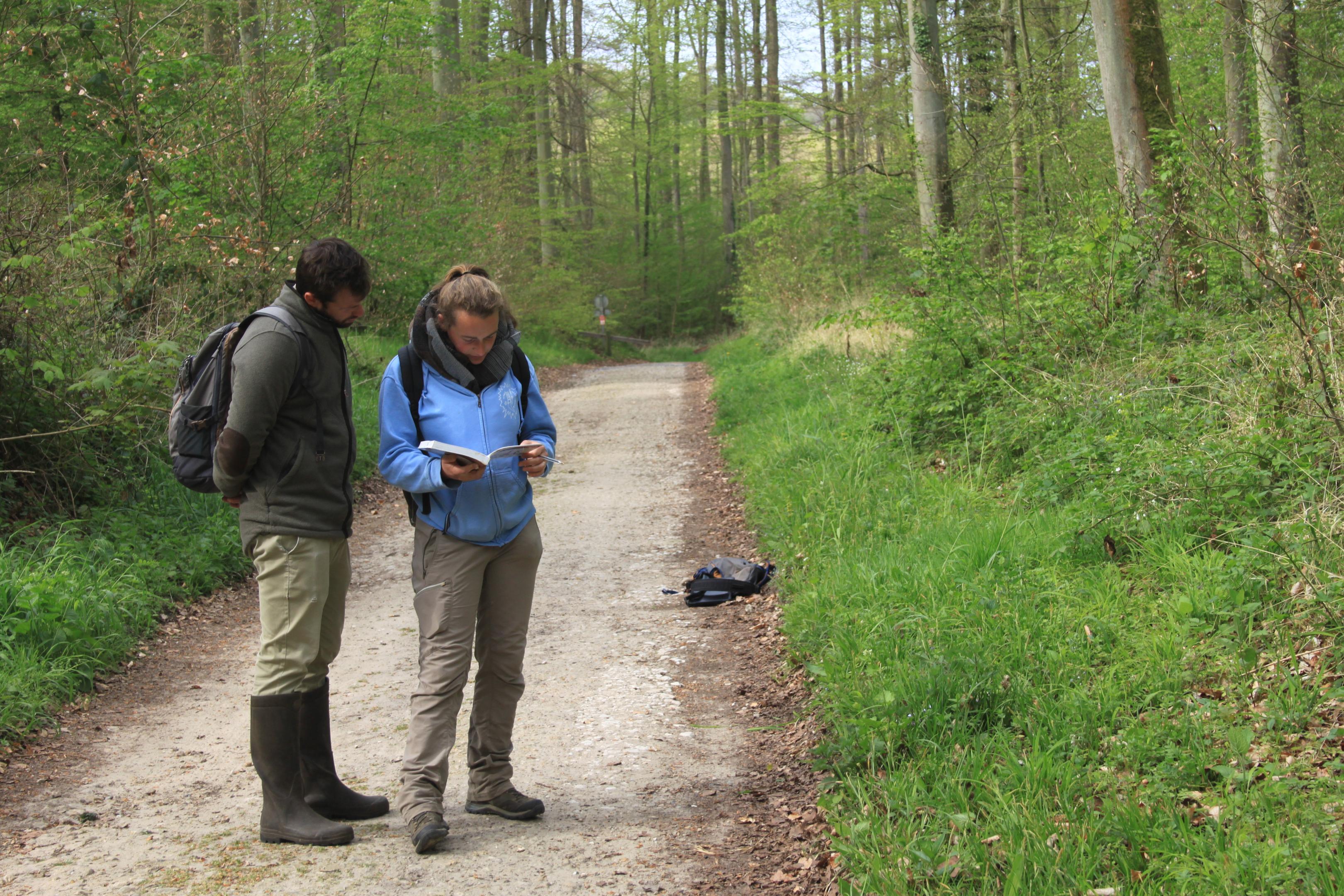 Début des inventaires typologiques des végétations sur les sites Natura 2000