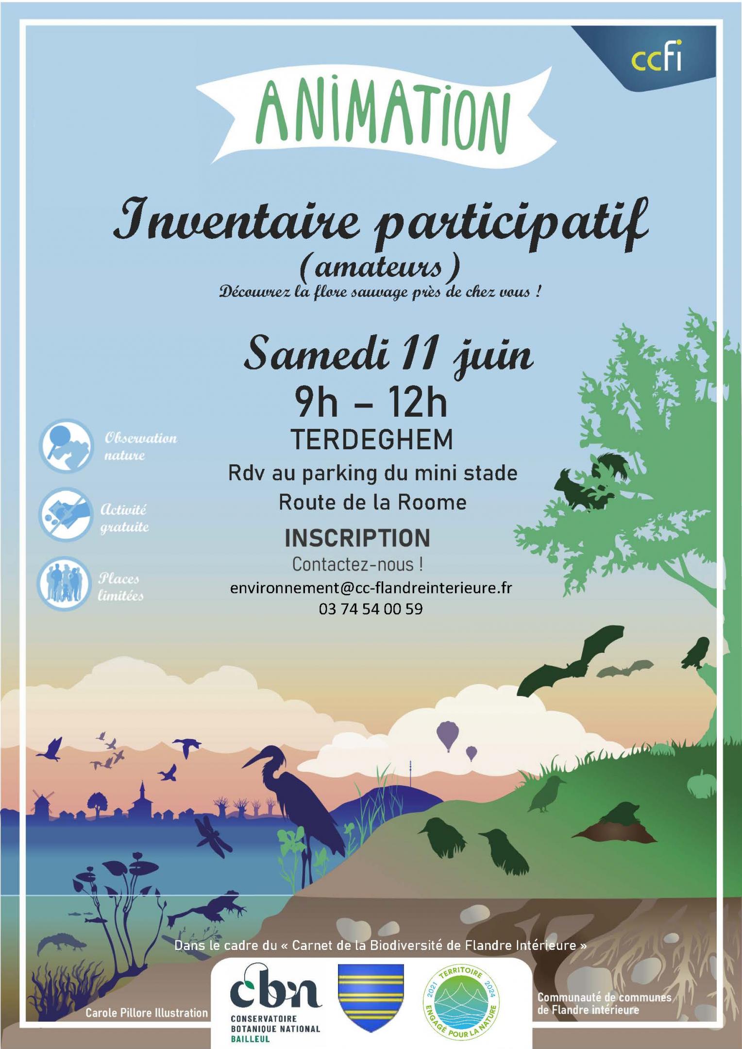 Inventaire participatif flore sauvage à Terdeghem (59) 
