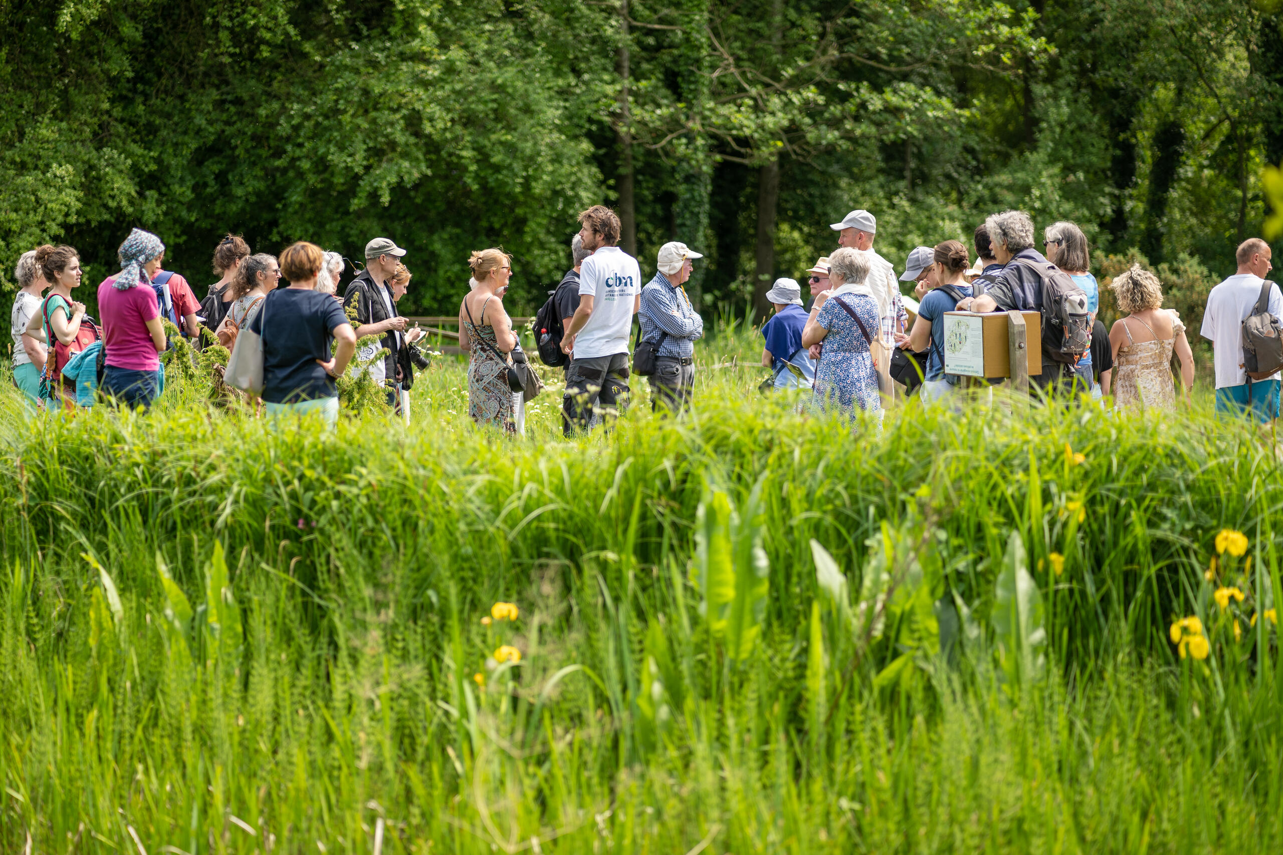 Sortie nature : "Les secrets du CBN de Bailleul" #2