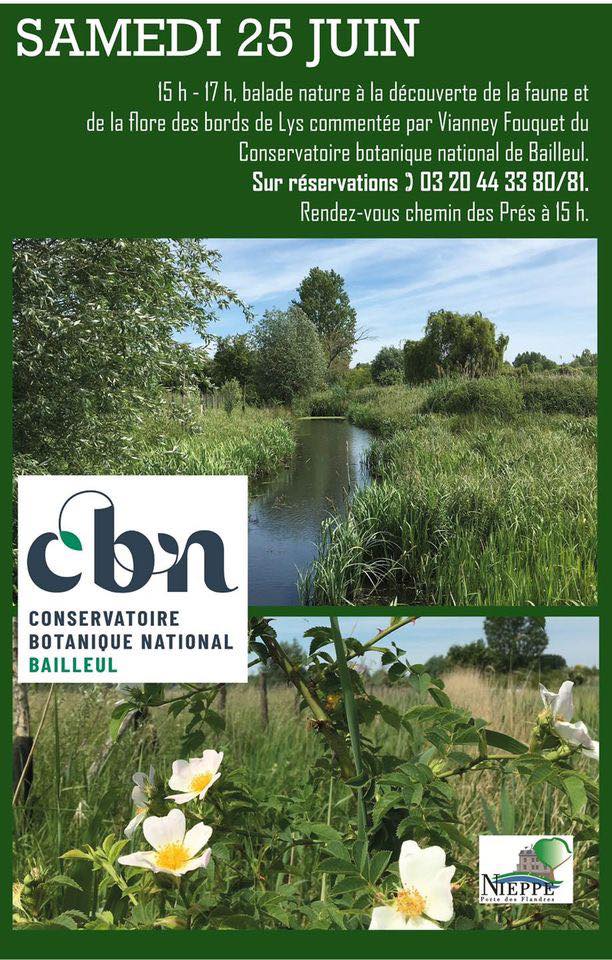 Balade nature sur les bords de Lys à Nieppe (59)