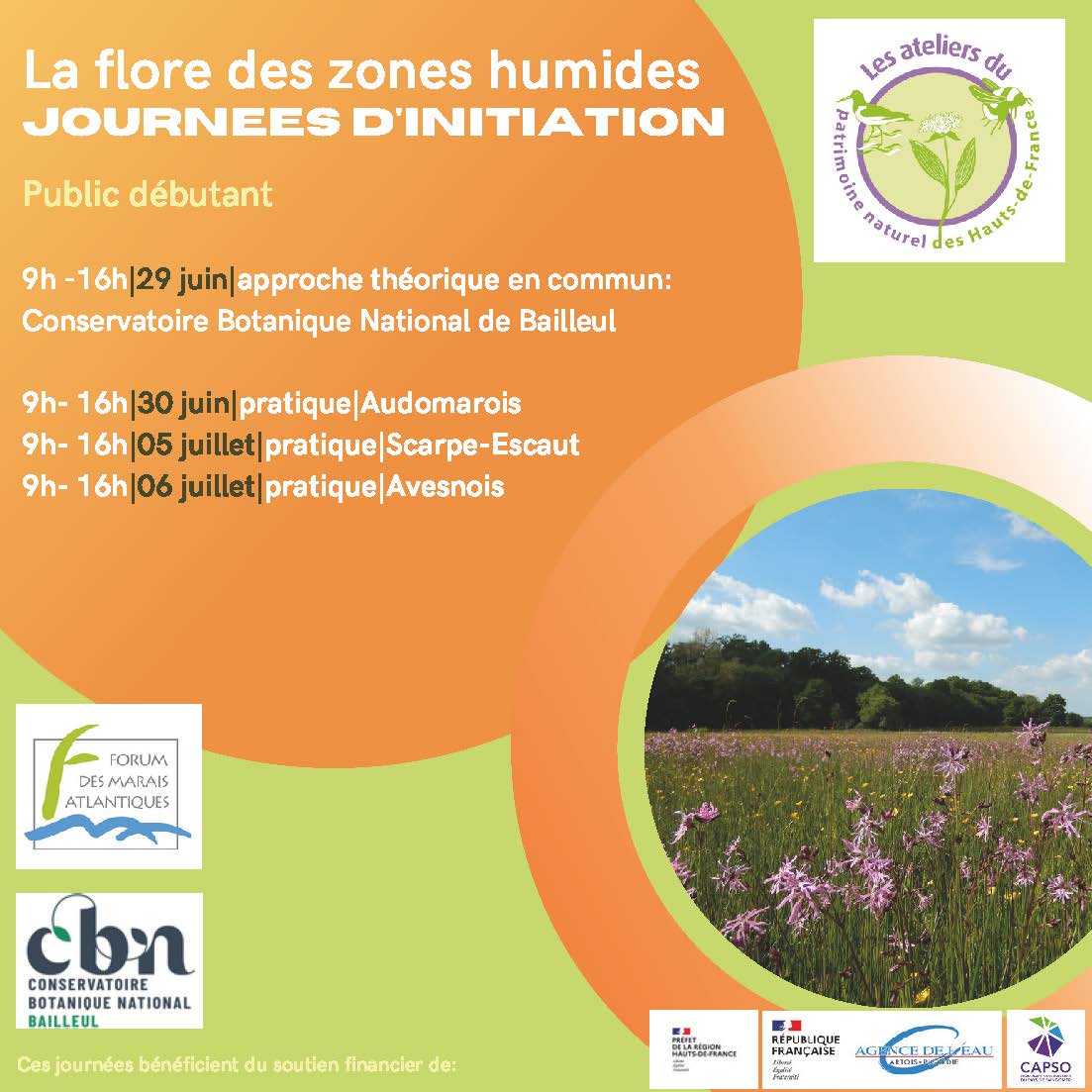 Journées d'initiation sur la flore des zones humides (Nord et Pas-de-Calais)