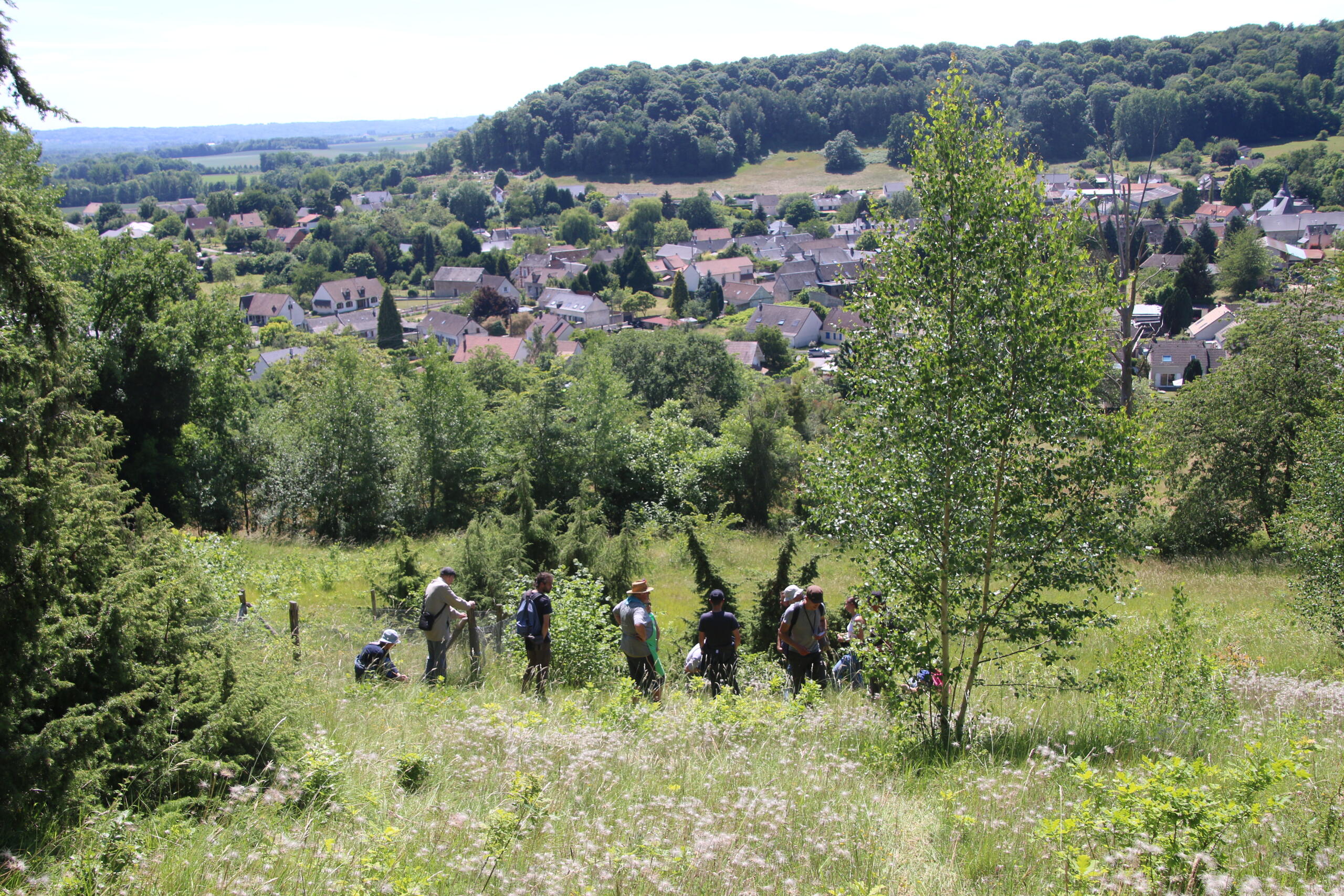 Retour sur les "Rencontres botaniques" en pays laonnois