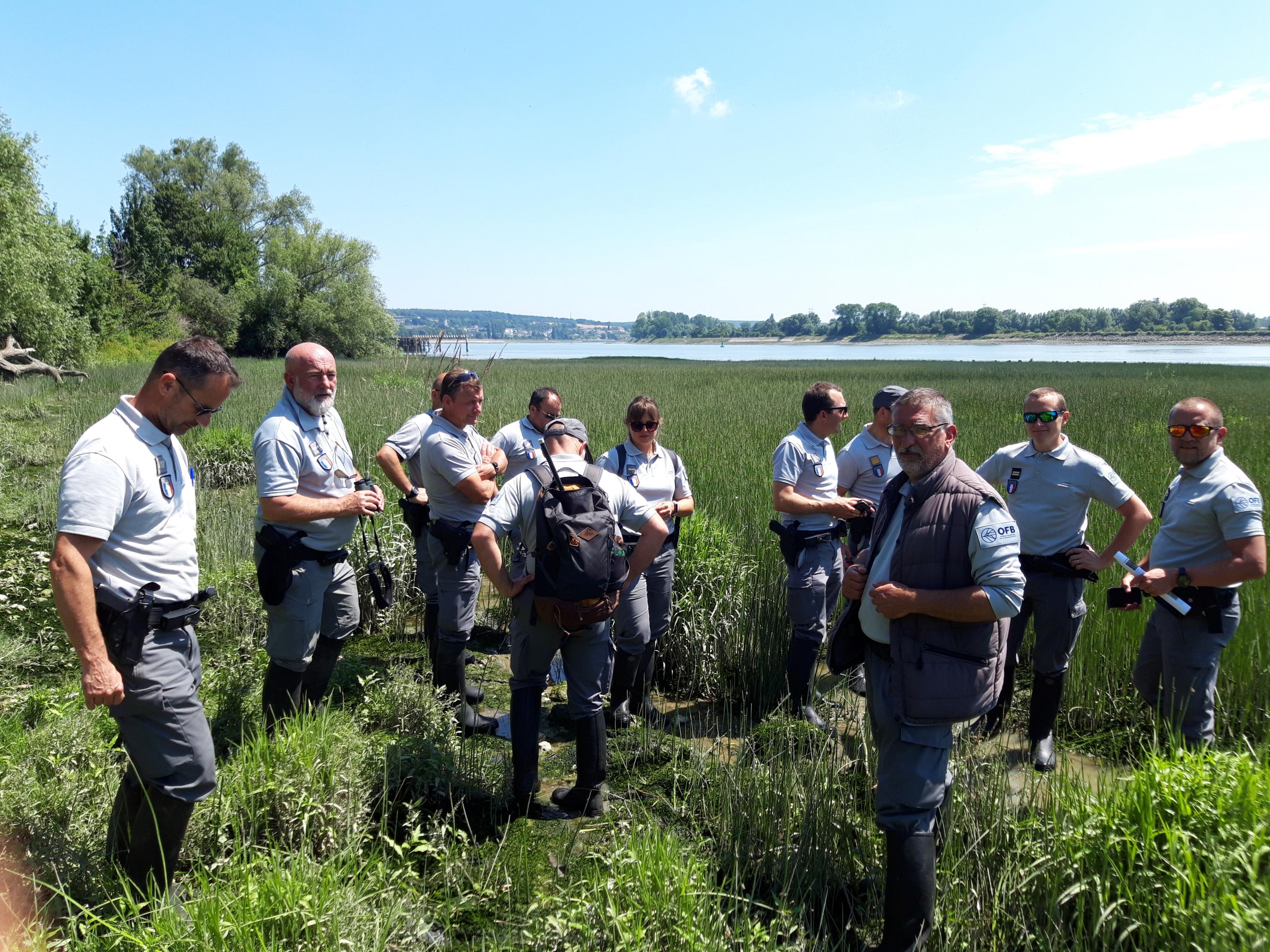 L’OFB et le CBN de Bailleul au marais du Trait