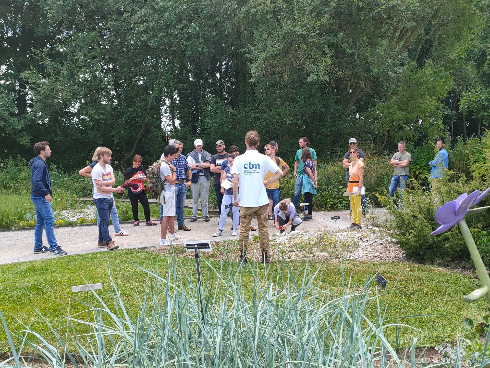 Retour sur les journées d'initiation à la flore des zones humides (Nord et Pas-de-Calais) 