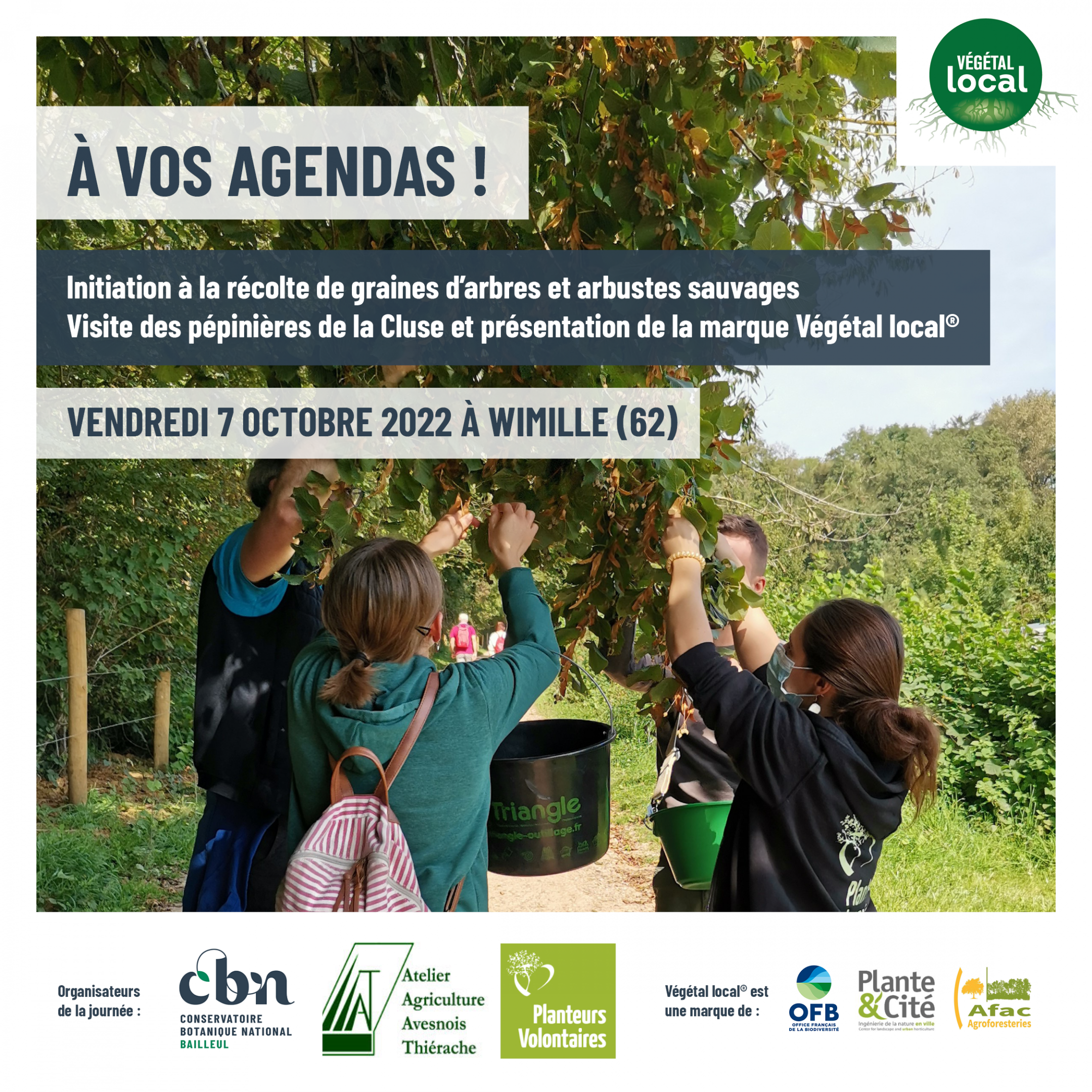 À vos agendas ! Journée d'initiation à la récolte de graines d'arbres et arbustes sauvages