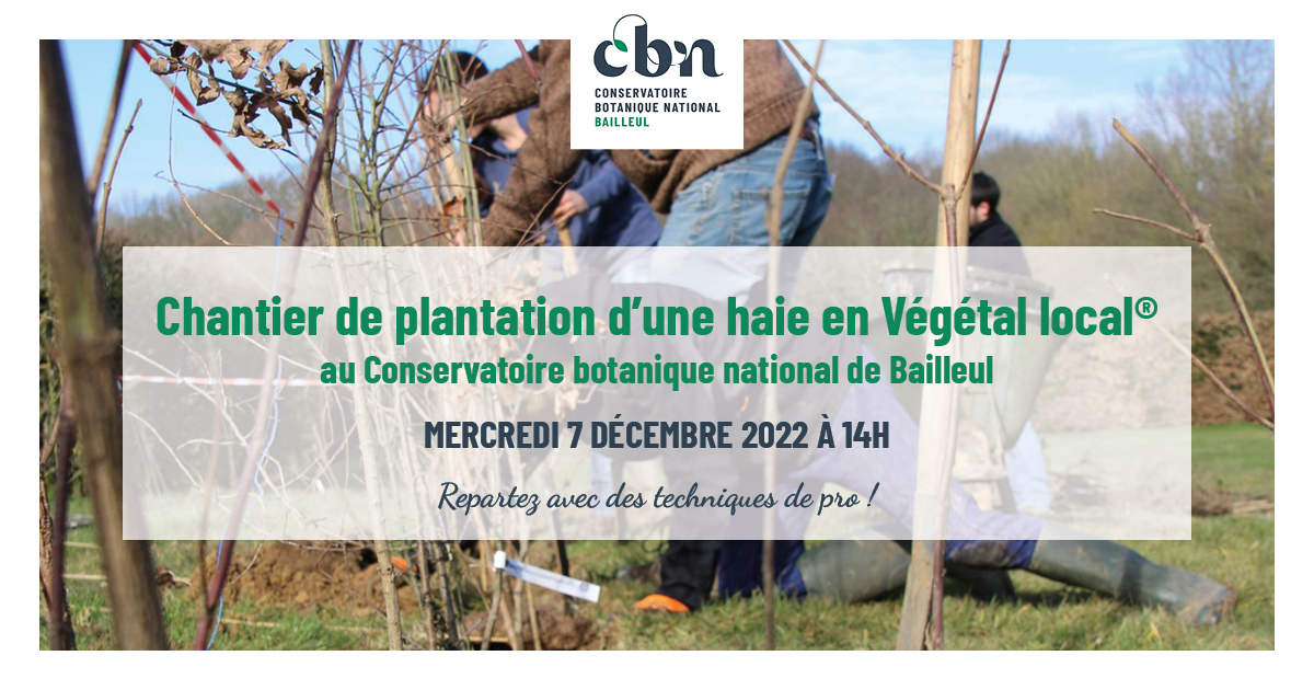 Chantier de plantation d'une haie en Végétal local® au CBN de Bailleul