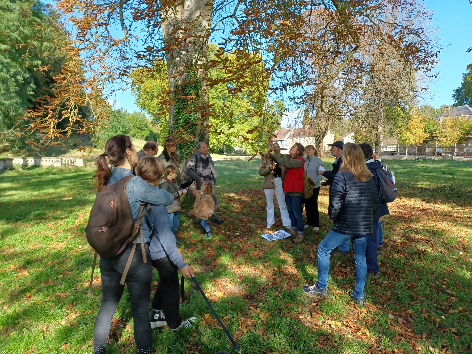 A la découverte des lichens du parc Jean-Jacques Rousseau à Ermenonville