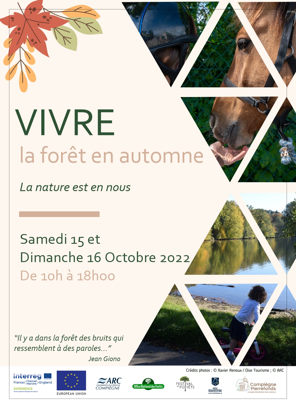 "Vivre la forêt en automne" - Forêt de Compiègne (Oise)