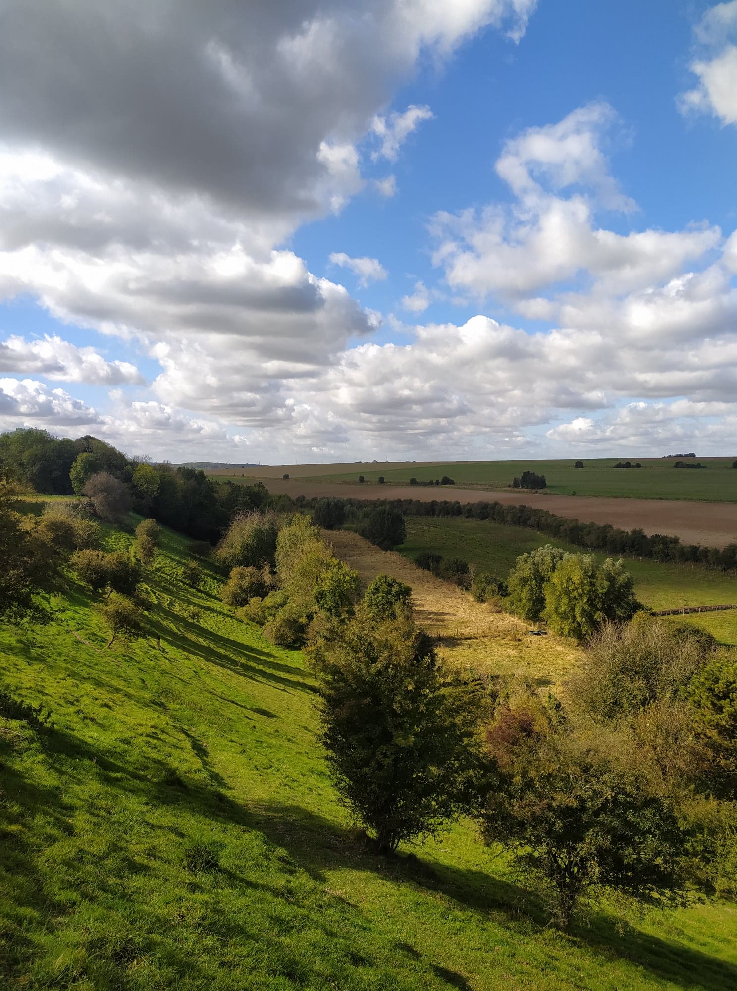 Sortie nature : "Du larris à la vallée" (Somme)