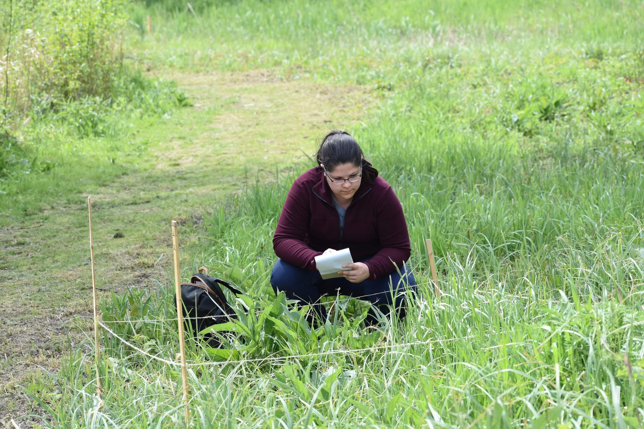 Arrivée de Sarah en stage au siège du CBN de Bailleul