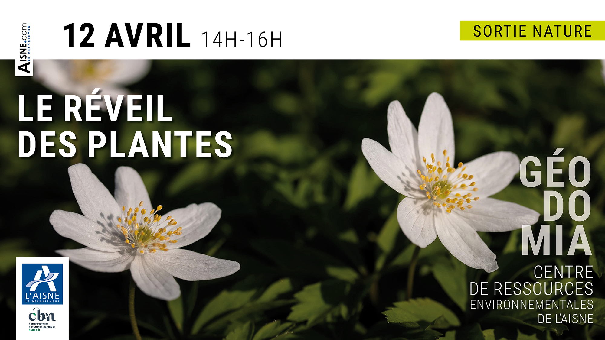 Sortie nature : "Le réveil des plantes" à Géodomia (Aisne)