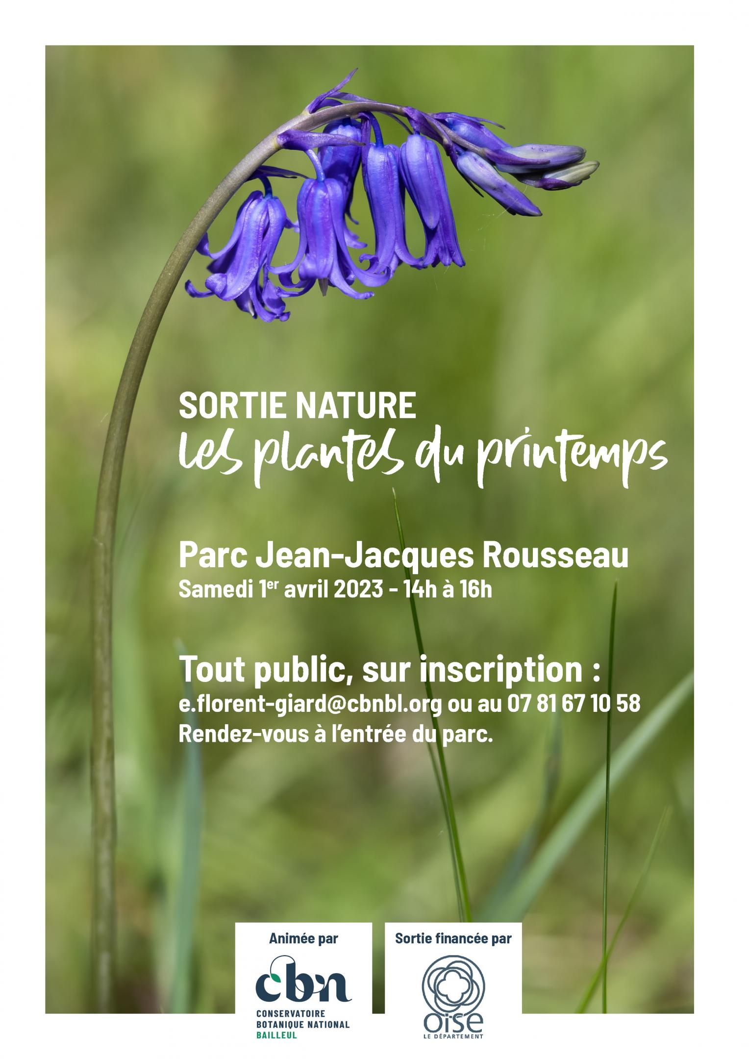 Sortie nature : "Les plantes du printemps" au Parc Jean-Jacques Rousseau d'Ermenonville (Oise)