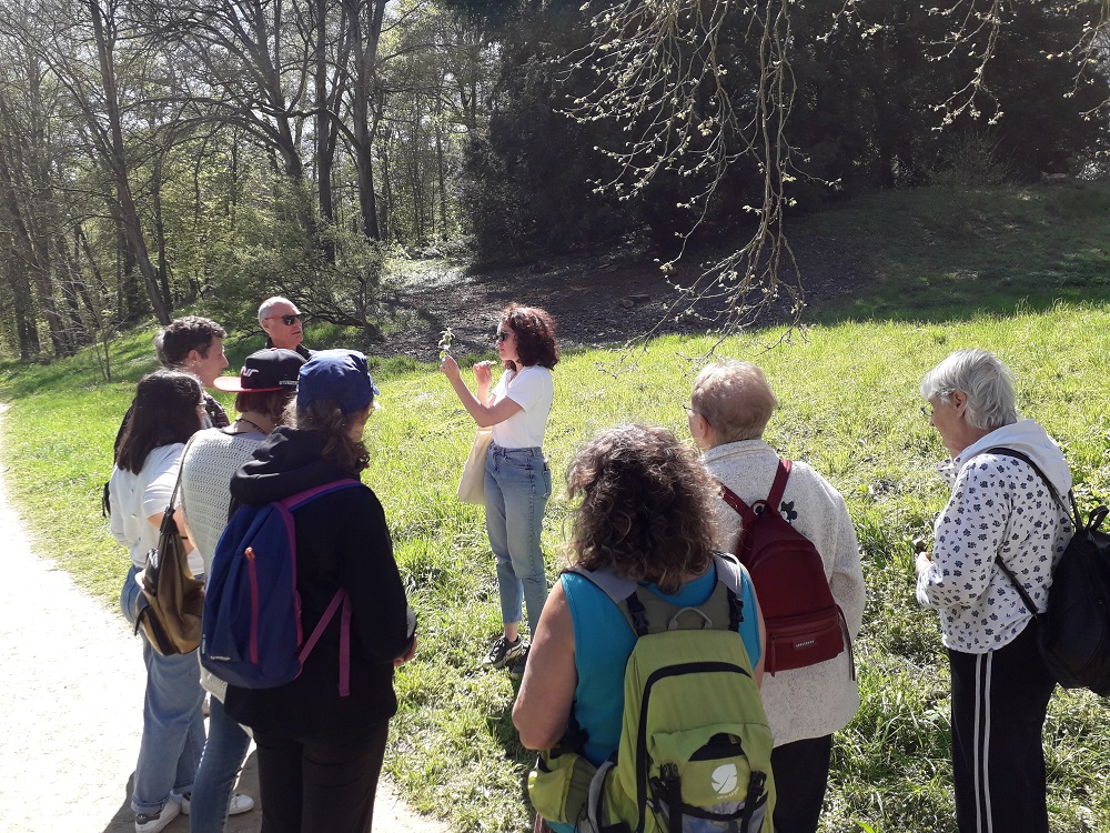 Sortie nature : "Les plantes du printemps" au Parc Jean-Jacques Rousseau d'Ermenonville (Oise)