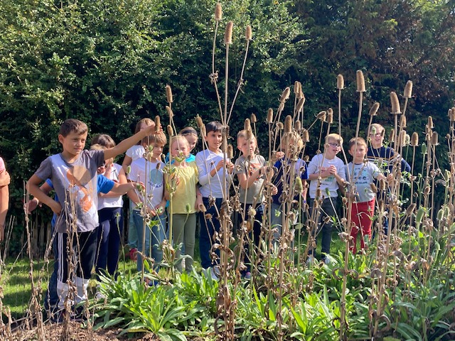 Webinaire « école et biodiversité » en Flandre intérieure