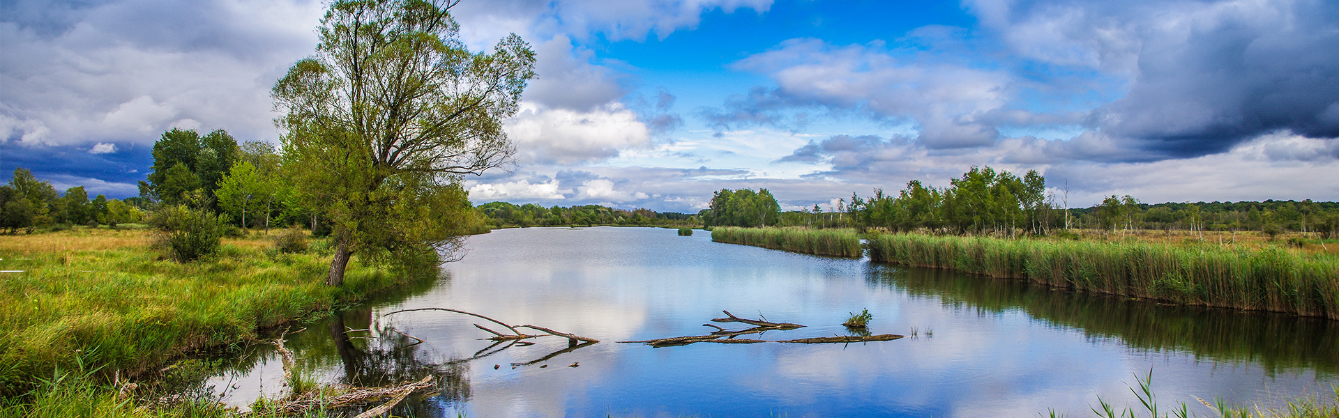 Sortie nature : "A la découverte des marais de Sacy au printemps" (Oise)