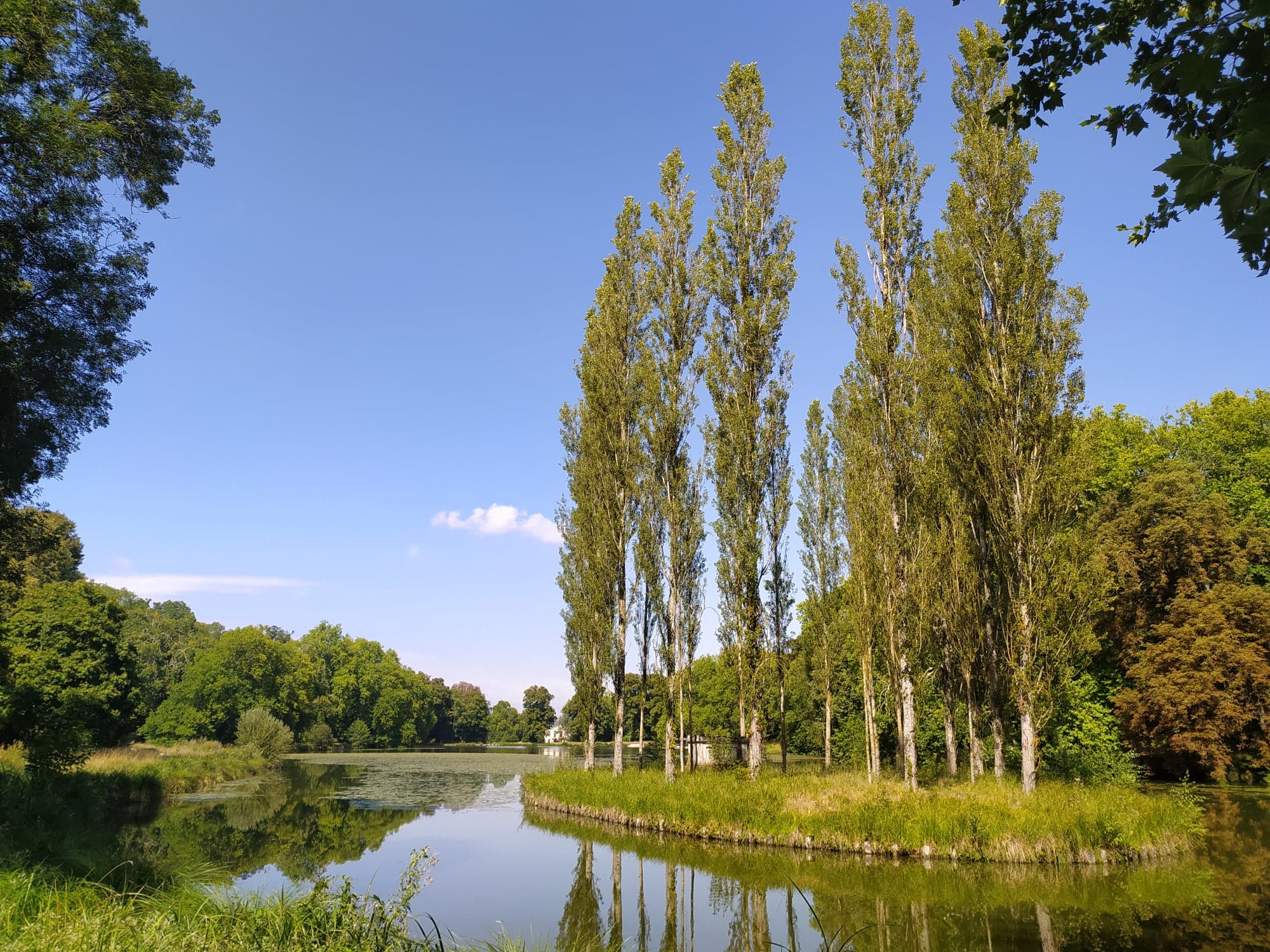 Sortie nature "Les plantes et leur milieu : un lien indissociable" au Parc Jean-Jacques Rousseau d'Ermenonville (Oise)
