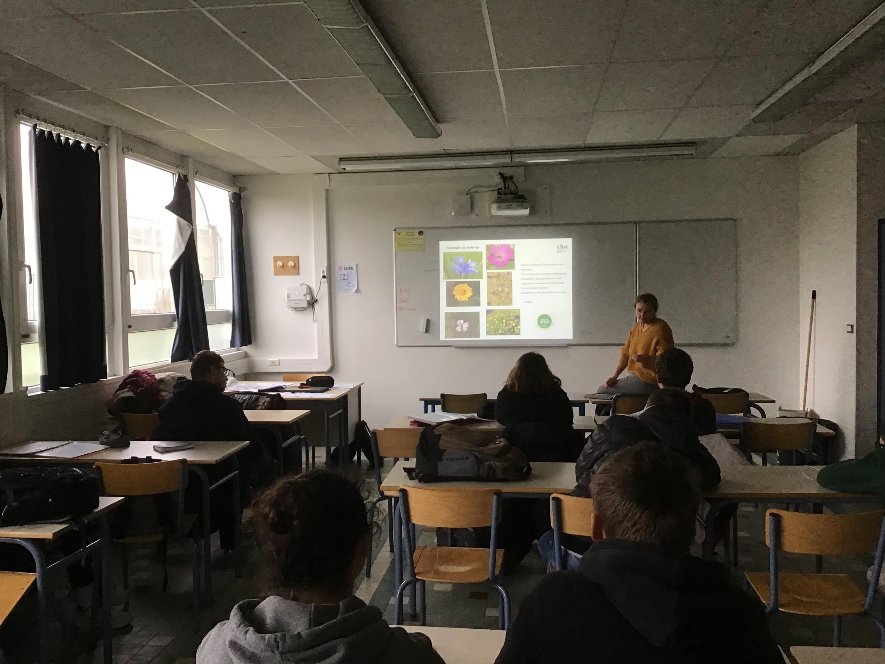 Sensibiliser les futurs agriculteurs, horticulteurs, aménageurs du paysage aux fleurs des champs (messicoles)