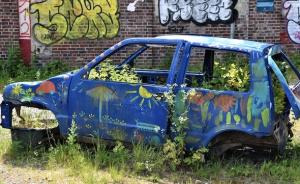 Inviter la nature chez soi : Pourquoi un jardin punk ? (Roubaix)