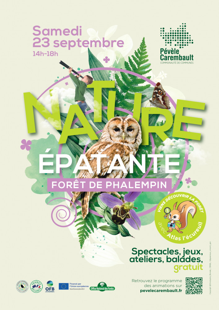 Événement "Nature épatante" en forêt de Phalempin (Nord)