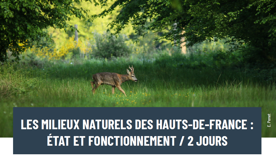 Une nouvelle formation à notre catalogue "Les milieux naturels des Hauts-de-France : état et fonctionnement"
