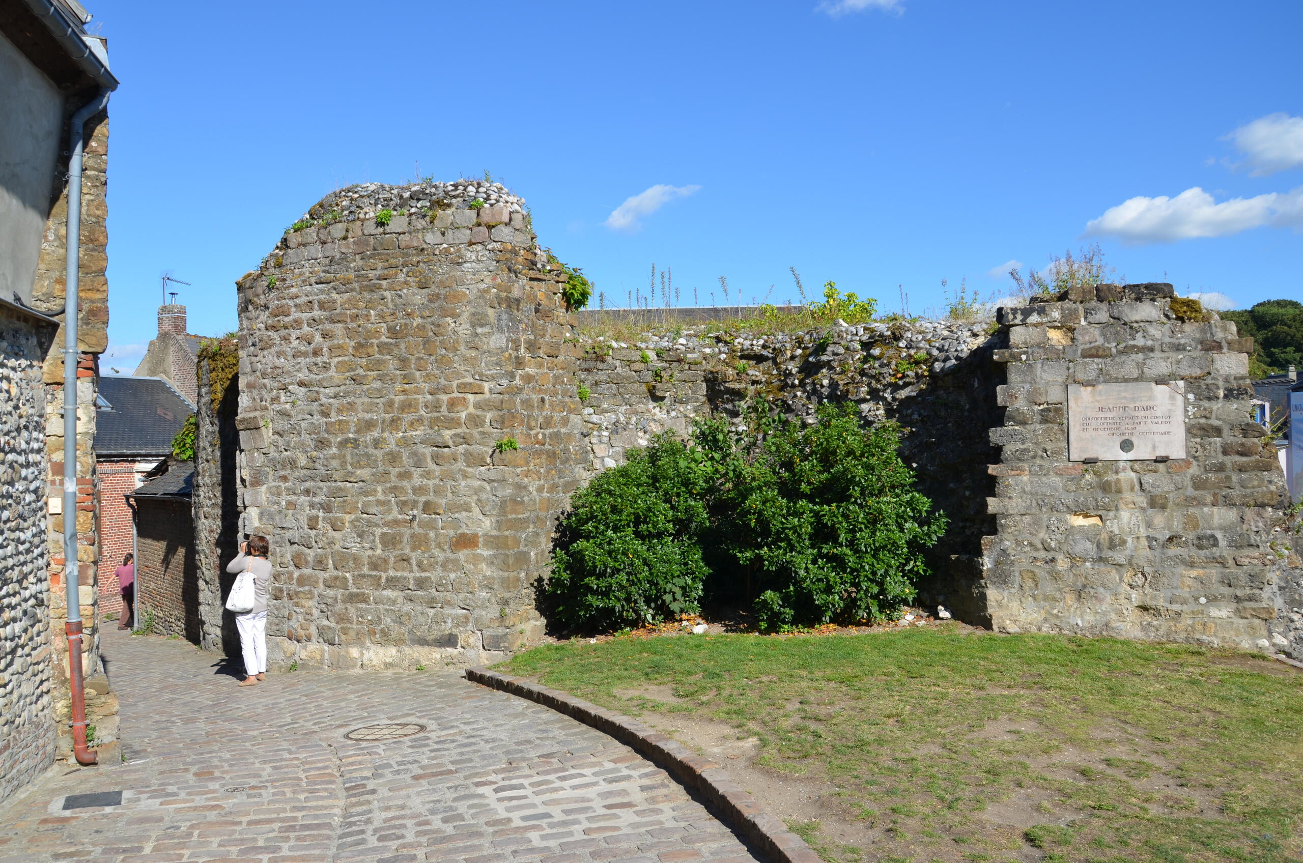 Sortie nature : "La flore urbaine de Saint-Valéry-sur-Somme"