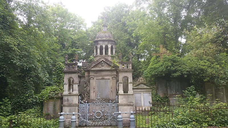 Sortie nature : "Les plantes sauvages comestibles du cimetière de la Madeleine (Amiens, Somme)