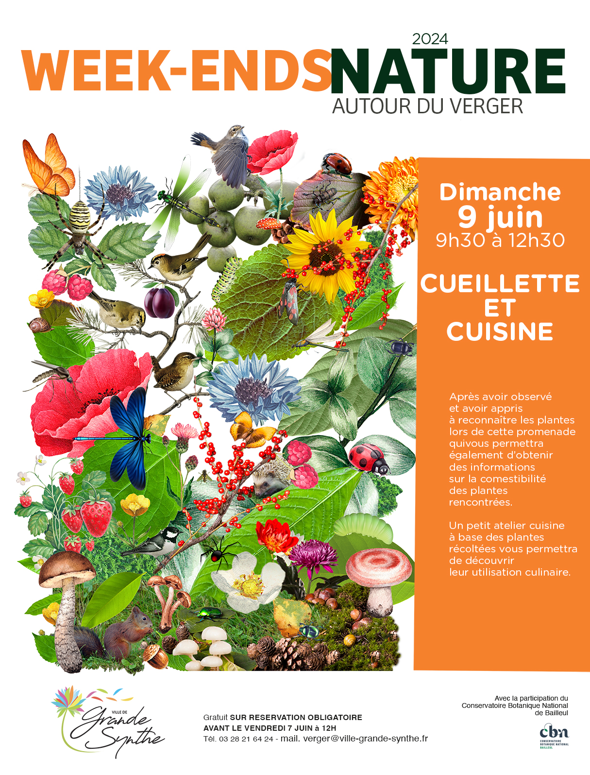 Atelier cueillette et cuisine à Grande-Synthe (Nord)