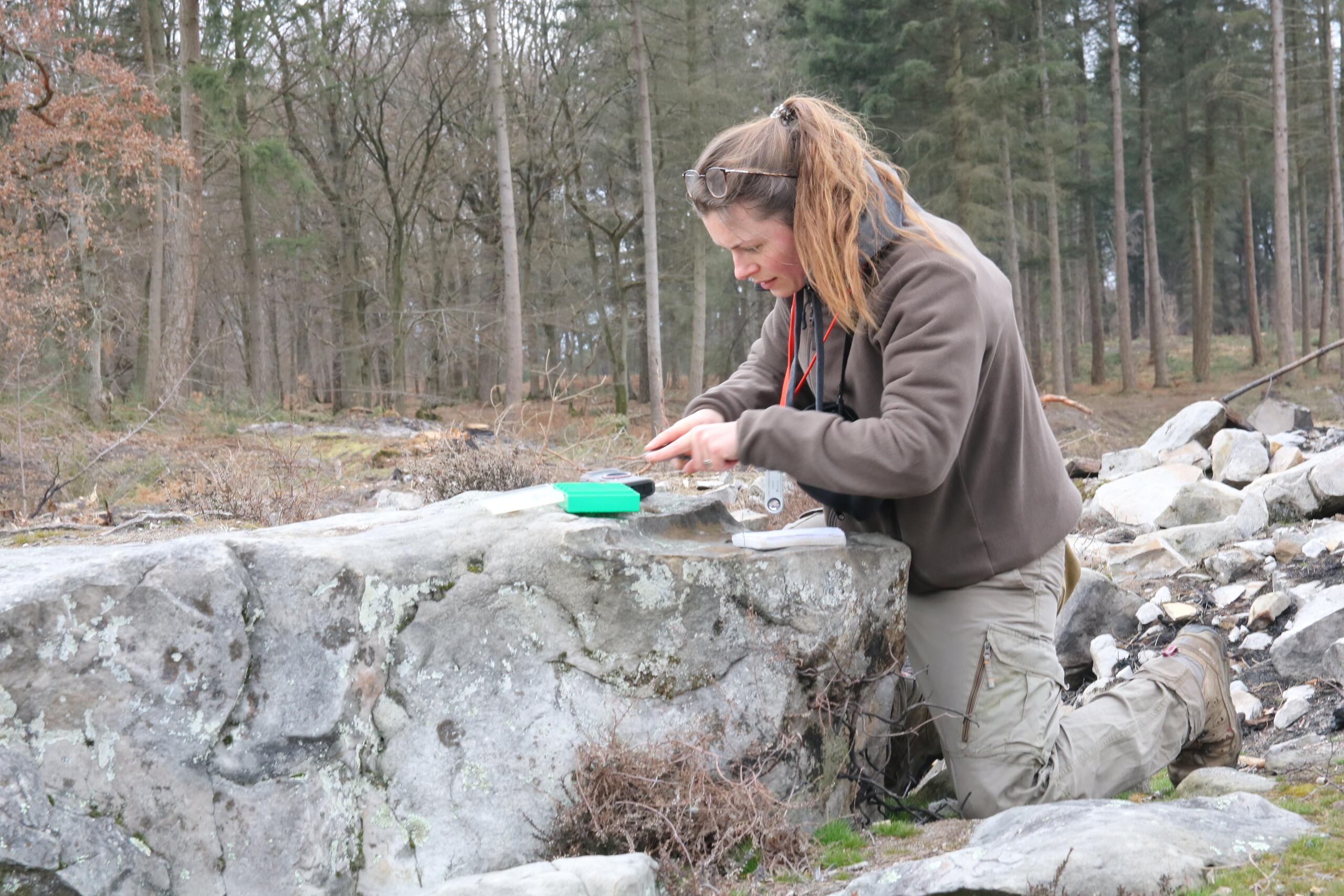 A la recherche de lichens remarquables pour la région !