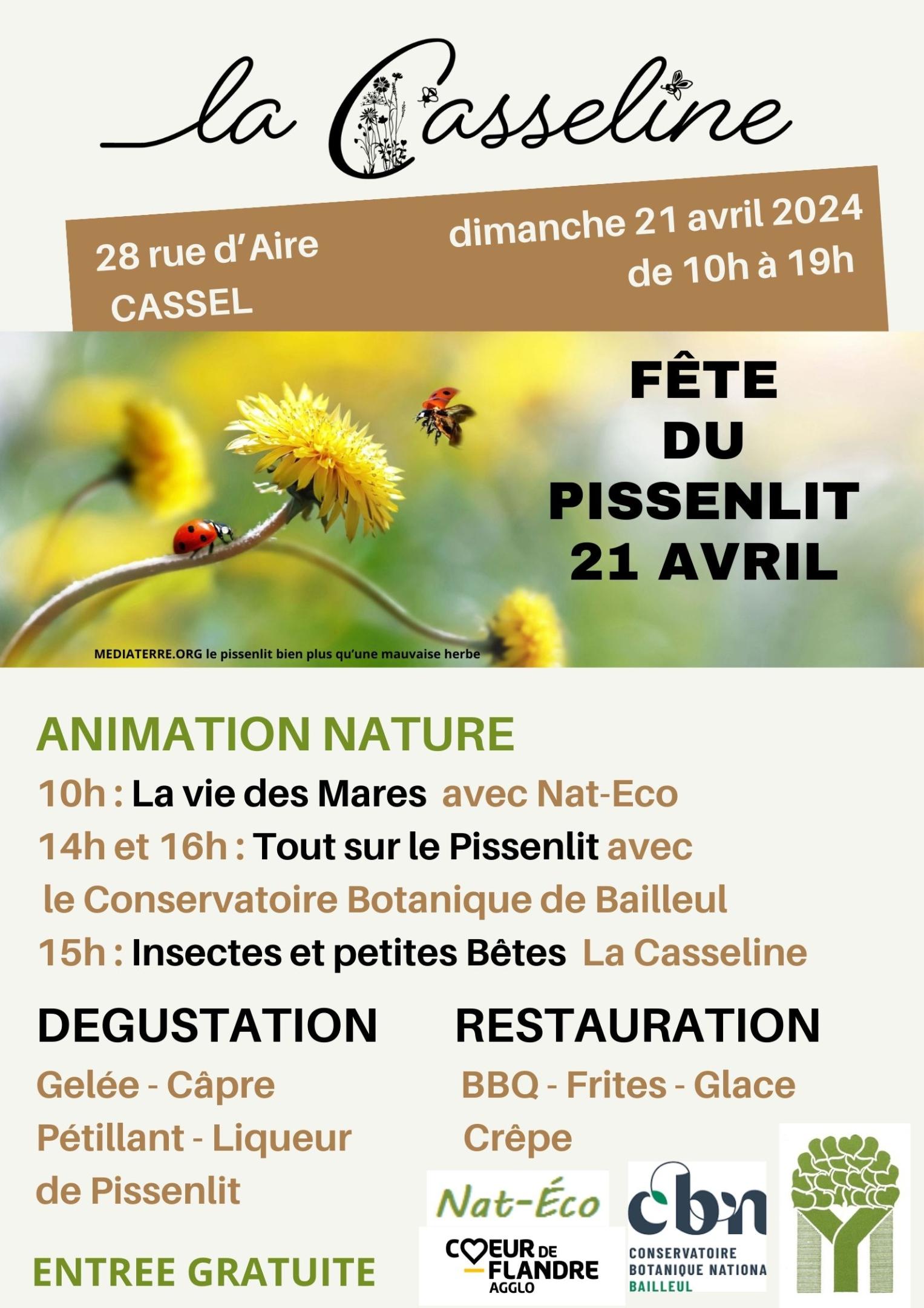 La fête du pissenlit à la Casseline (Cassel, Nord)