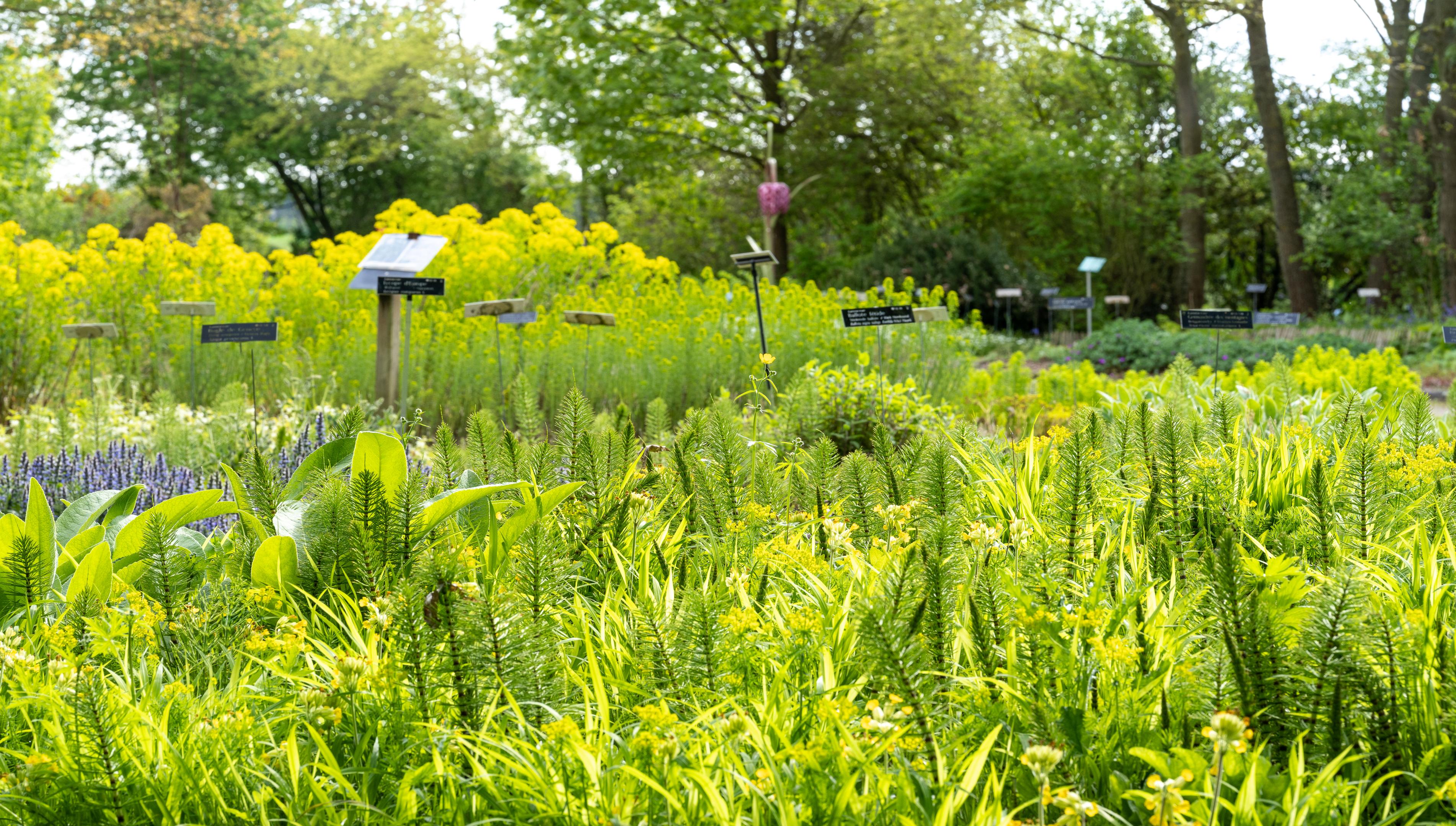 Nos jardins seront fermés le lundi 20 mai