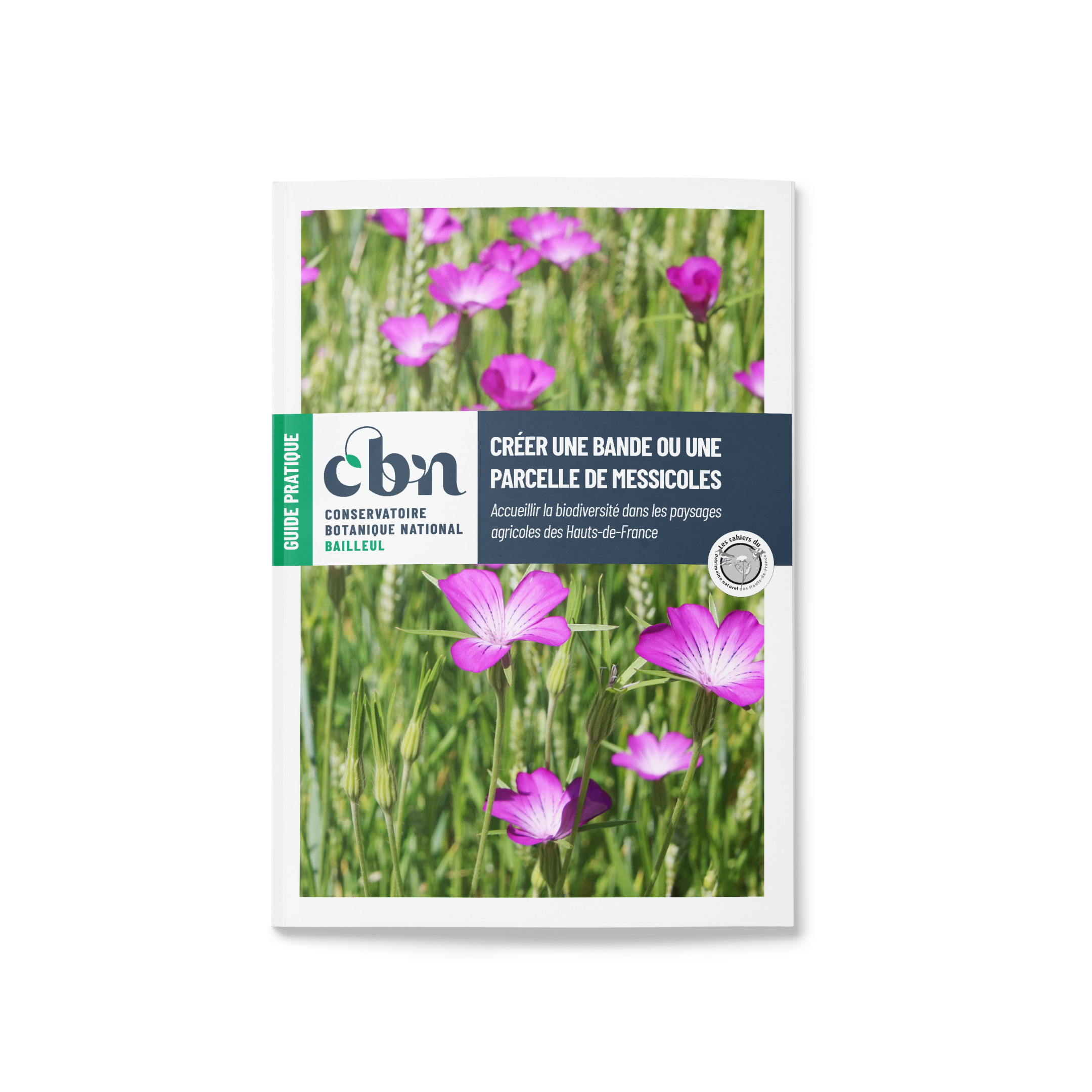 Créer une bande ou une parcelle de messicoles. Accueillir la biodiversité dans les paysages agricoles des Hauts-de-France. Guide pratique