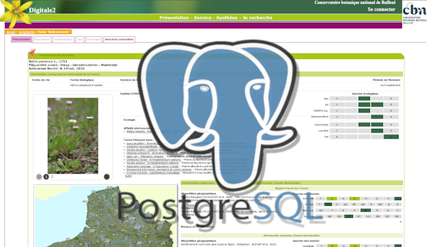 Le CBN de Bailleul passe au tout Open Source sur Digitale2